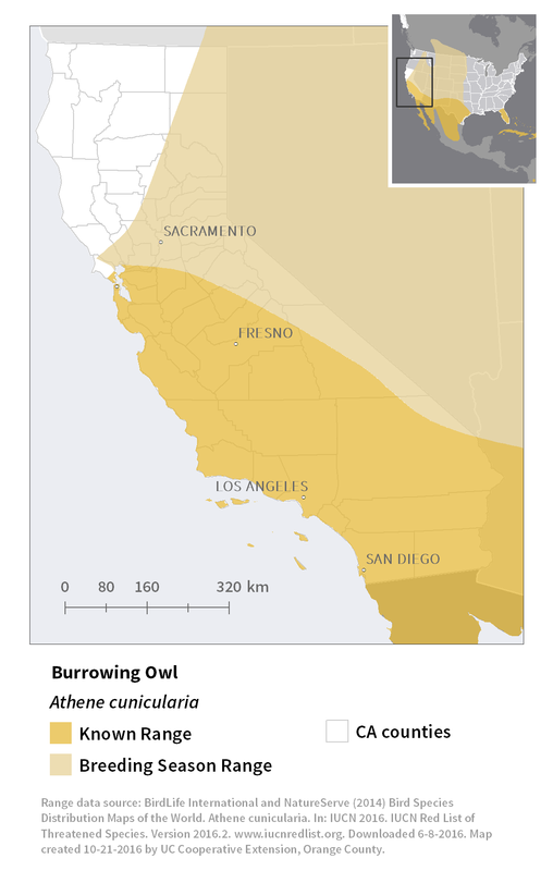 Map of burrowing owl range